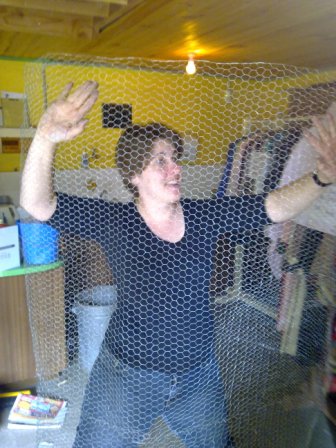 23102010011.jpg